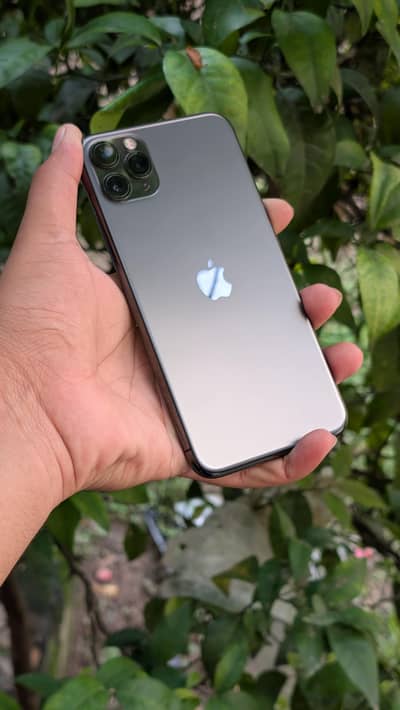 I phone 11 Pro Max (64 gb) J V