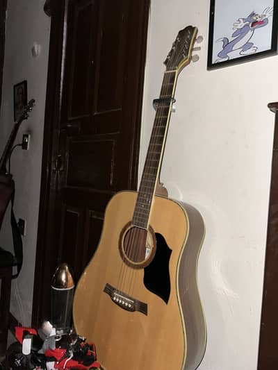 acoustic guitar