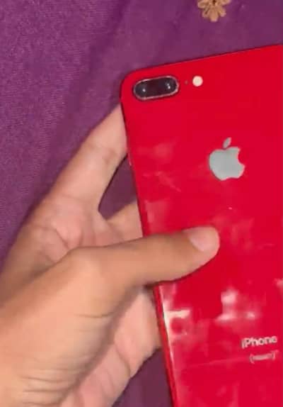 8 plus official pta prove