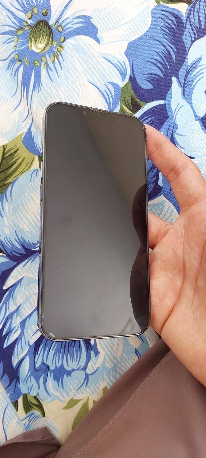 Apple iPhone 13 Pro 3