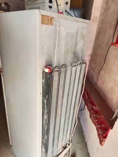 frege for sale