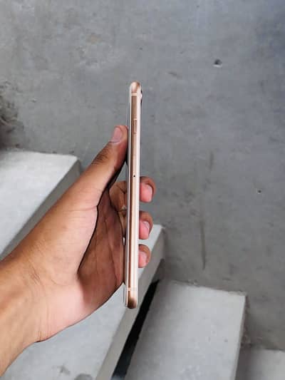 Apple iPhone 8 Plus