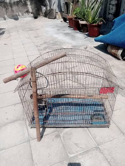 birds cage for sale