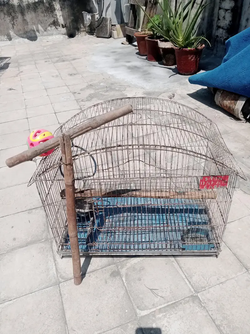 birds cage for sale — photo 5