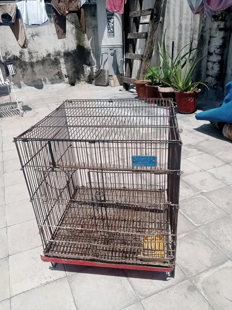 birds cage for sale — photo 3