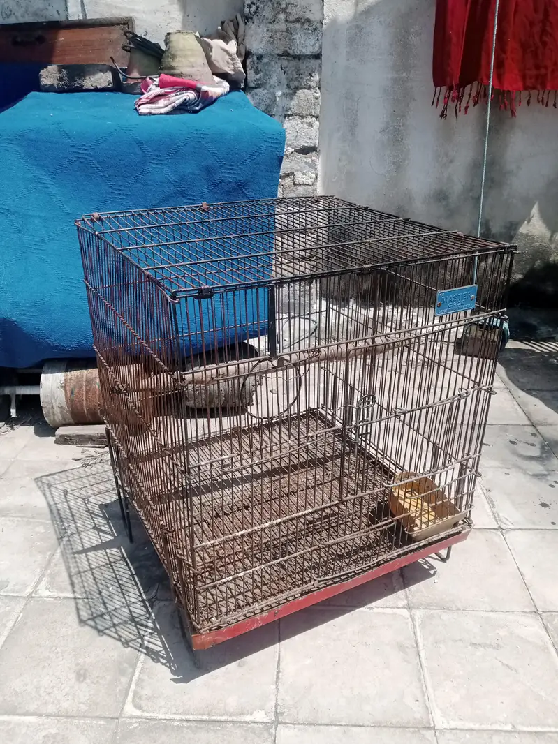 birds cage for sale — photo 4