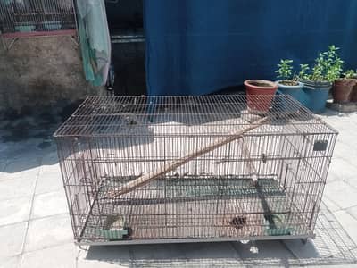 birds cage for sale