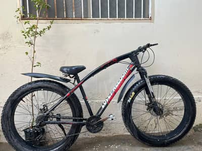 fat Tyre bicycle