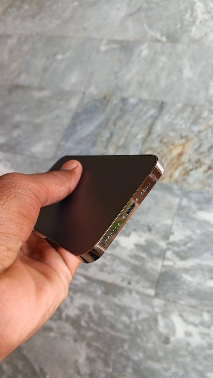 Apple iPhone 13 Pro Max 4