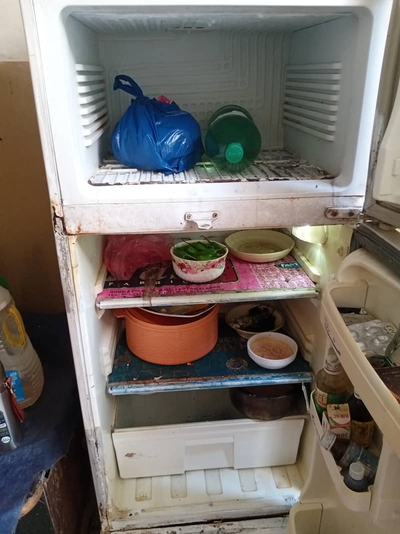 fridge 1