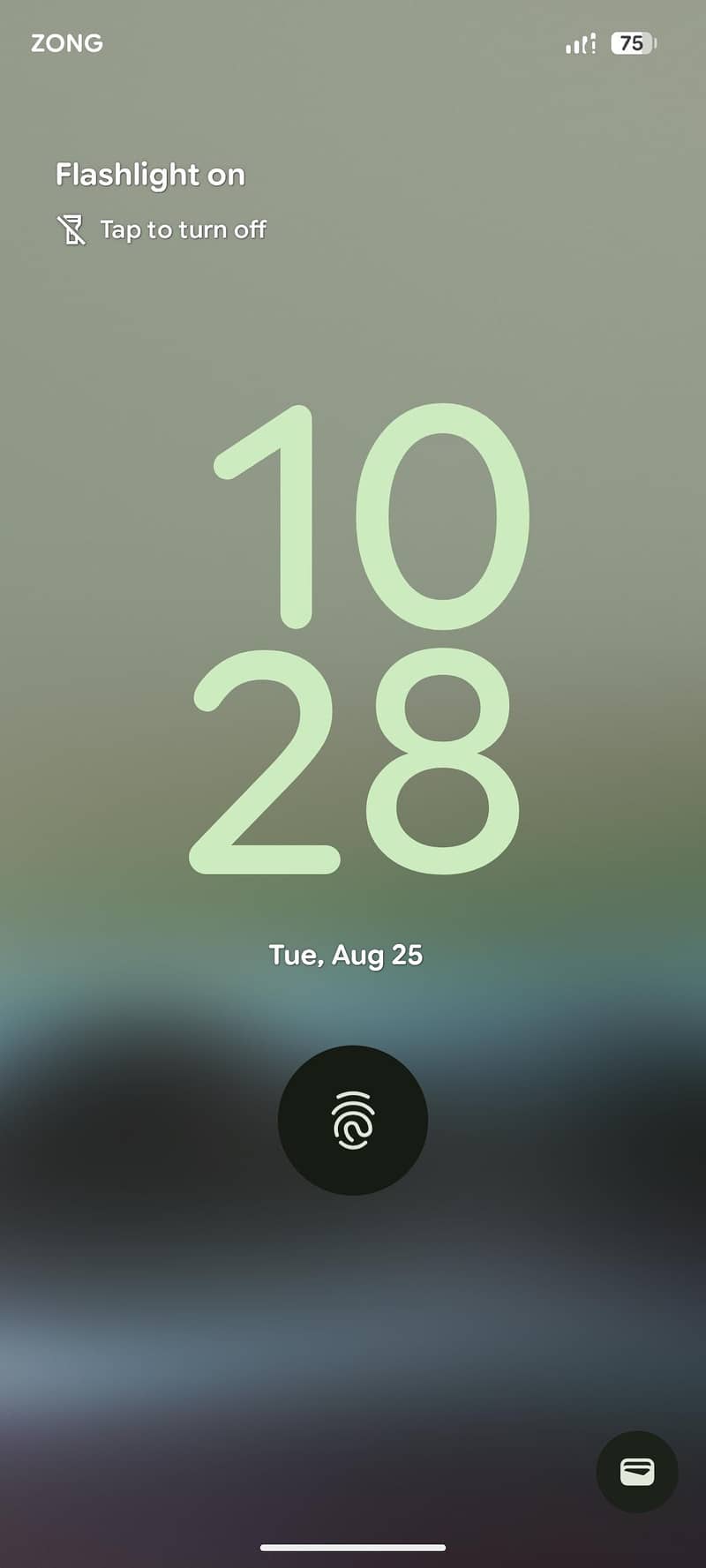 Google Pixel 6a 5