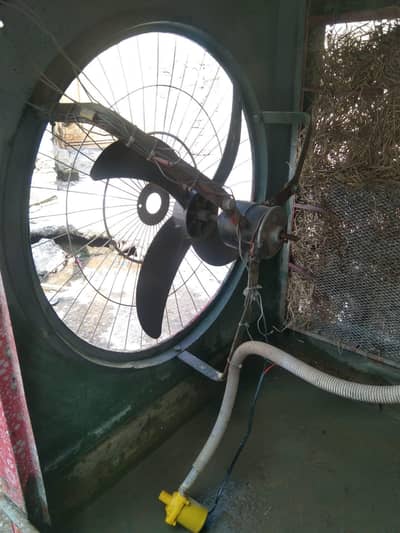 Lahoreri coolers