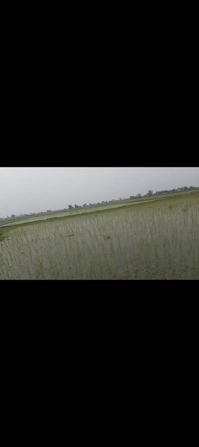 agricultural Land for sale. .