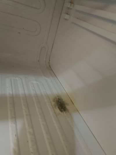 large freezer