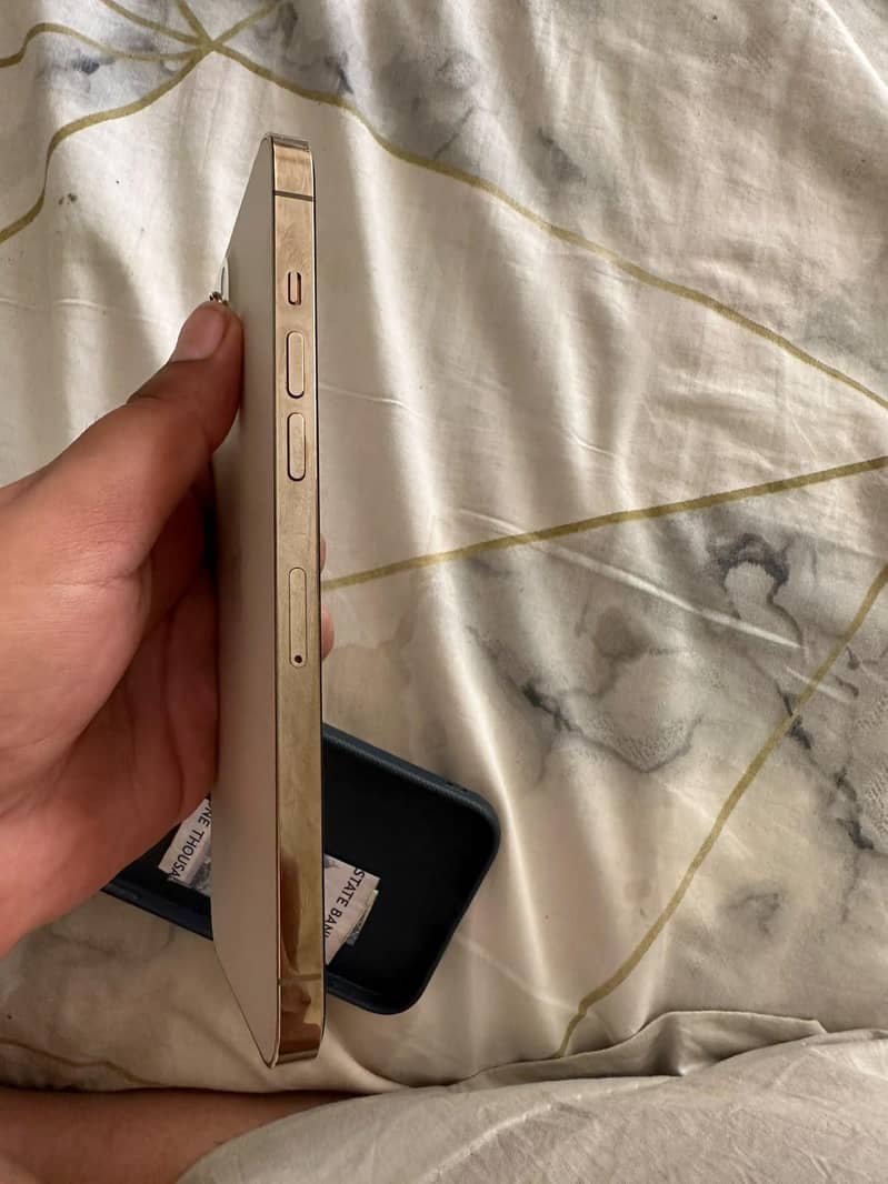 iphone 12 pro max 4