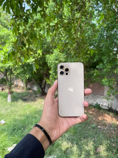 Apple iPhone 12 Pro Max