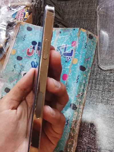 Apple iPhone 12 Pro