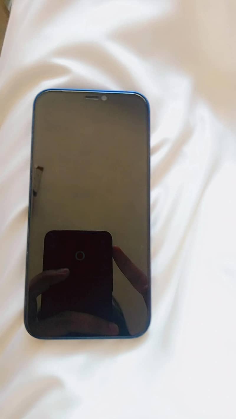 Apple iPhone 12 2