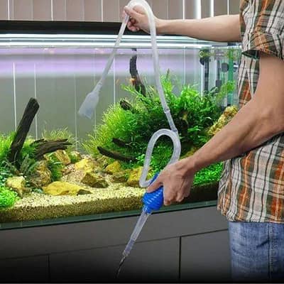 Fish Aquariums Cleaning and Service