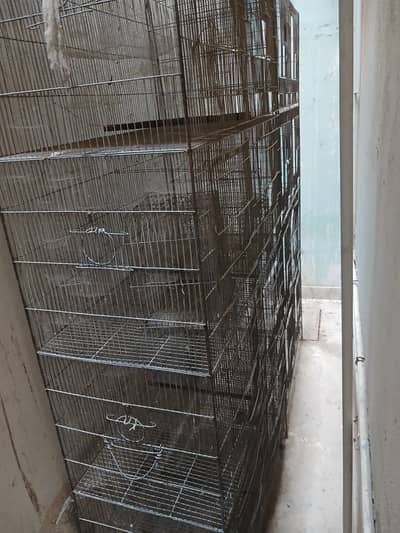8 portion cages