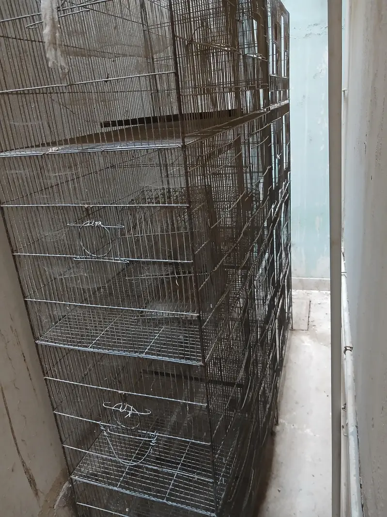 8 portion cages