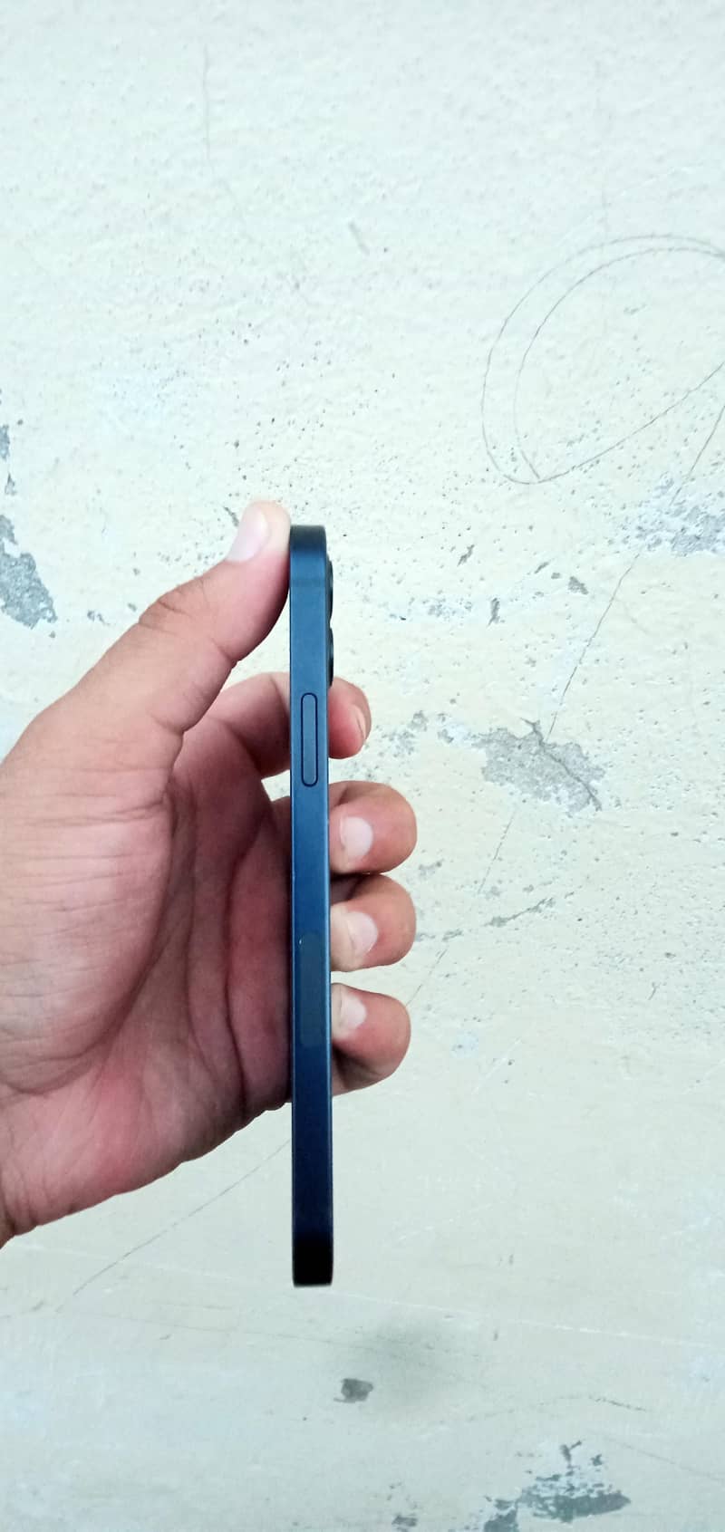 Apple iPhone 12 1