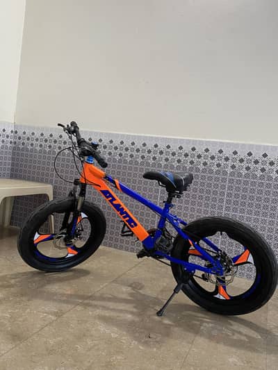 Atlantic Sports bicycle