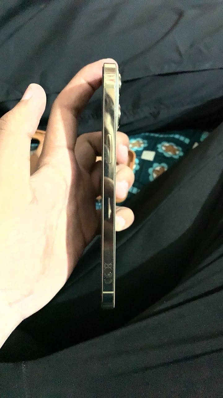 Apple iPhone 13 Pro Max 1
