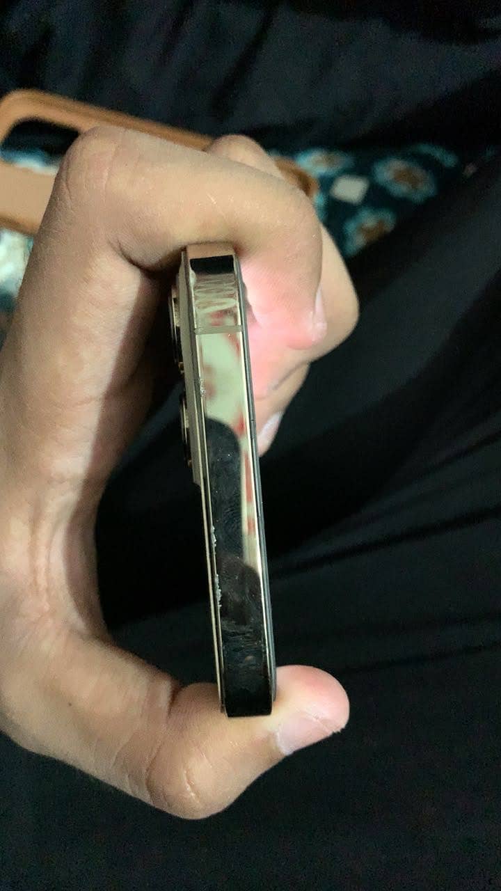 Apple iPhone 13 Pro Max 4