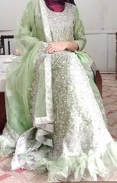Pestal Green Waleema Dress / Party Dress