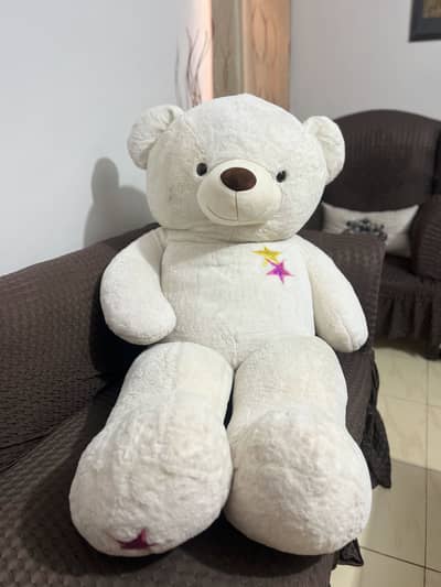 Giant teddy Bear