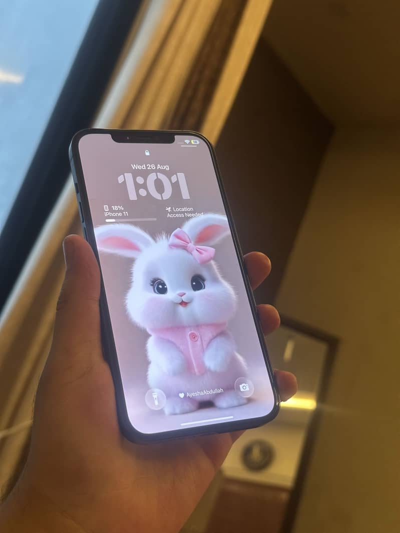 Apple iPhone 12 Pro Max 5