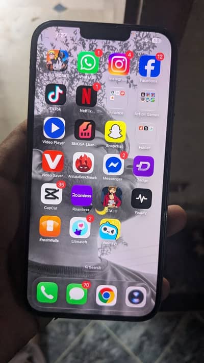 Apple iPhone 13 Pro Max