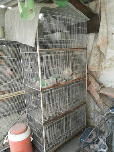Used Cage For Sale