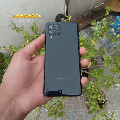 Sasha phone