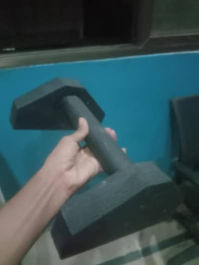 calisthenic equipment