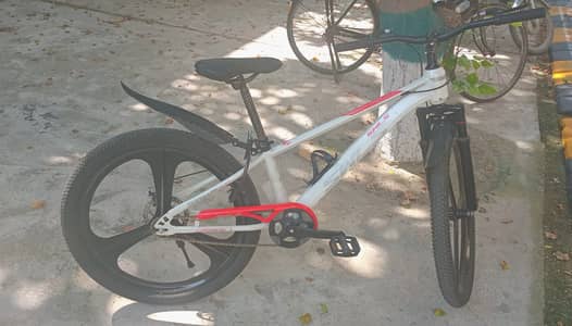 SWLS 24 Single-Speed Bicycle – 3-Spoke Mag Rims – Good Condition