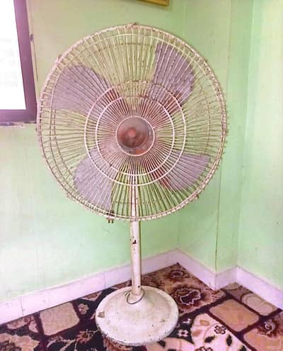 Padastal Fans urgent Sale