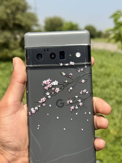 Google Pixel 6 Pro PTA Approved