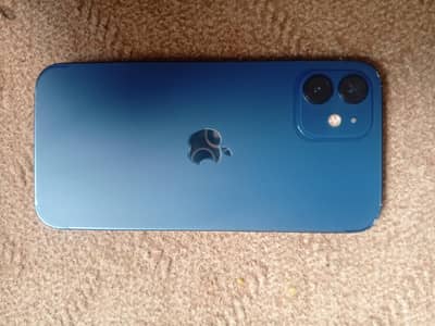 Apple iPhone 12