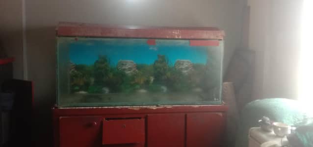 aquarium 5 foot Lambie 2 foot uchai 12 mm glasses aquarium stand iron