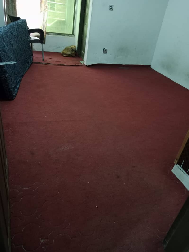 Carpets 2
