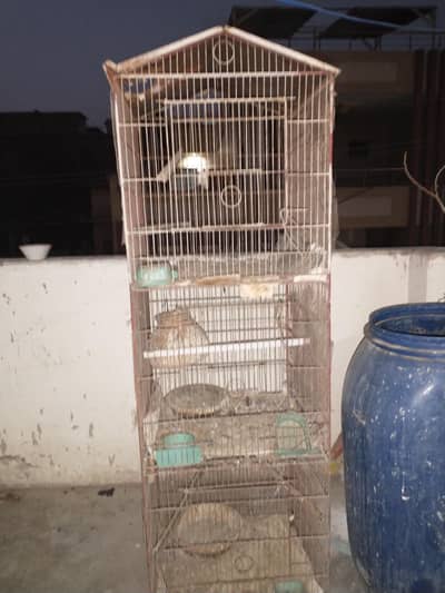 Birds and hens cage