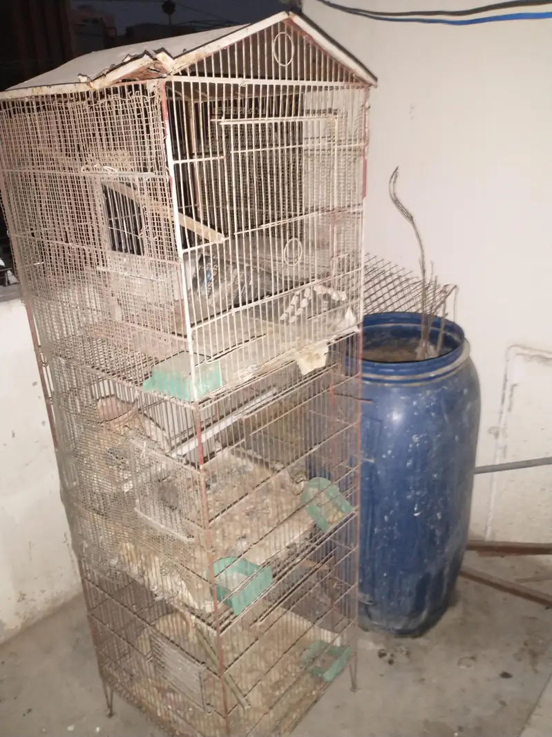 Birds and hens cage — photo 2