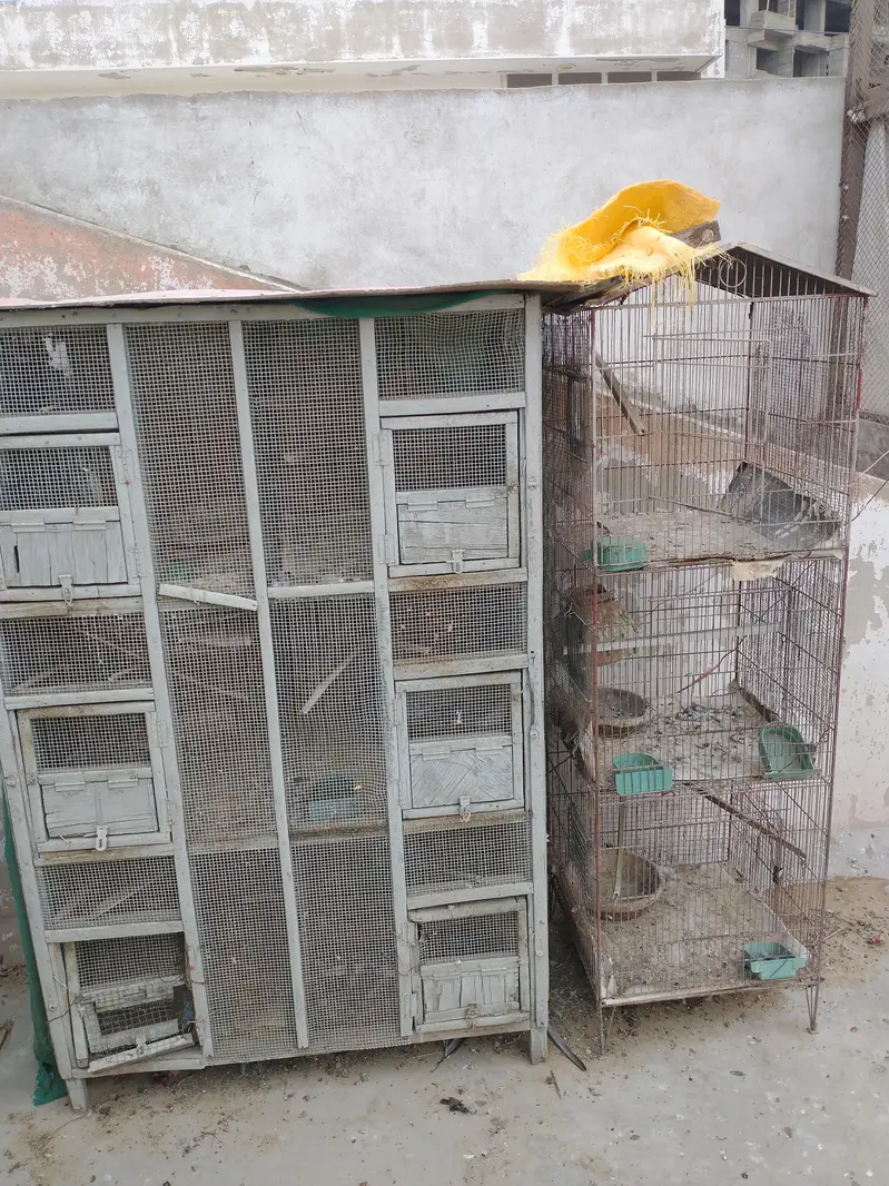 Birds and hens cage — photo 4
