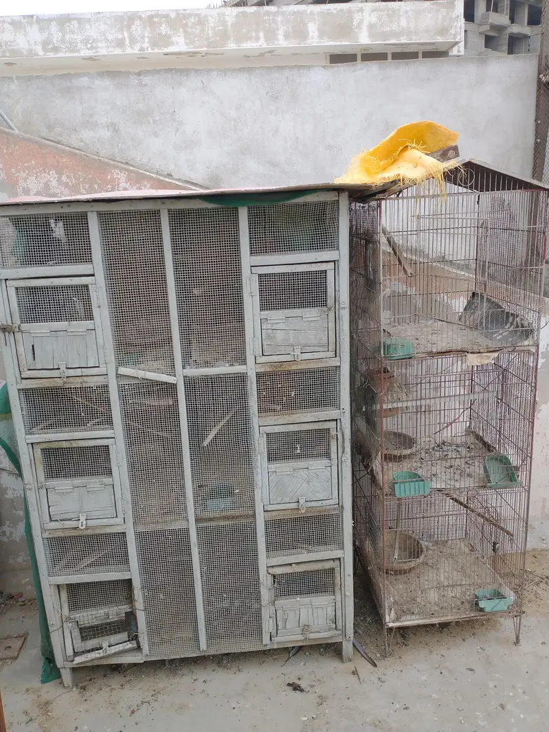 Birds and hens cage — photo 5