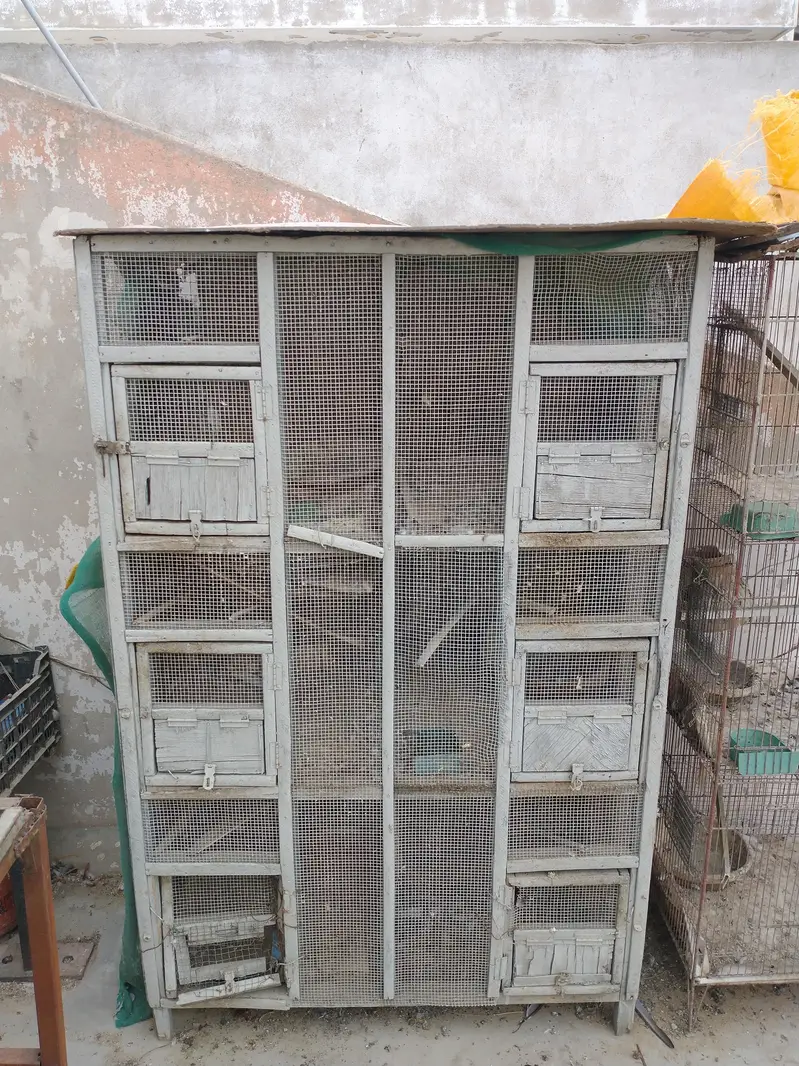 Birds and hens cage — photo 6