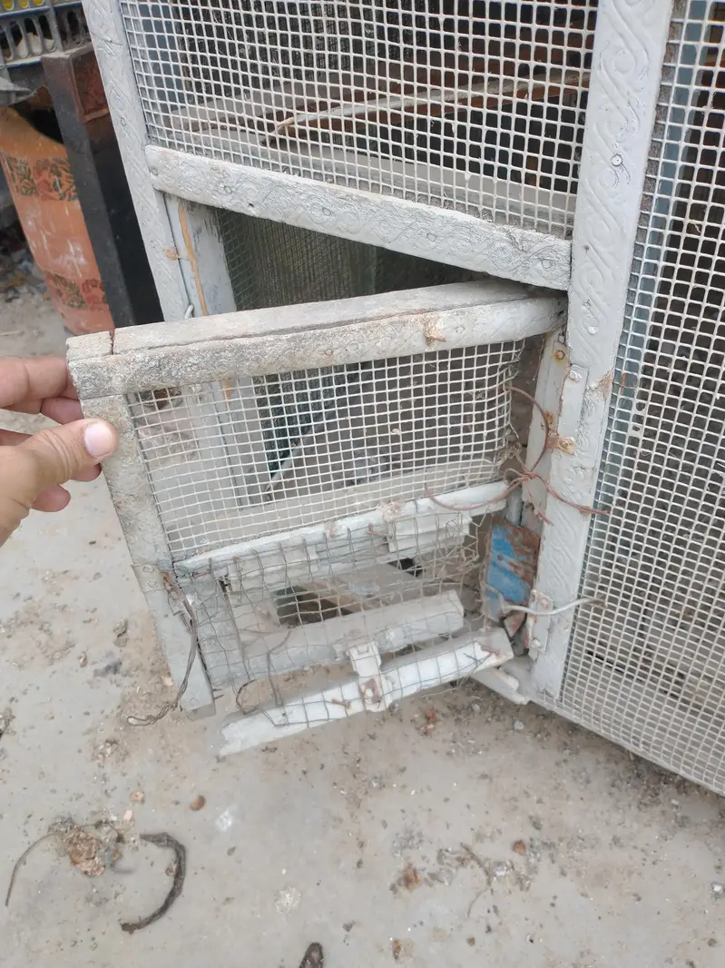 Birds and hens cage — photo 8