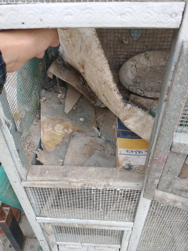 Birds and hens cage — photo 12