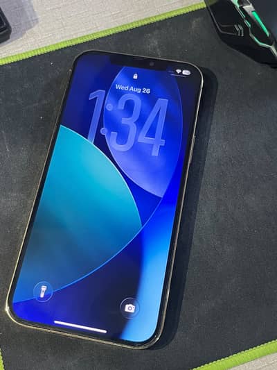 Apple iPhone 12 Pro Max